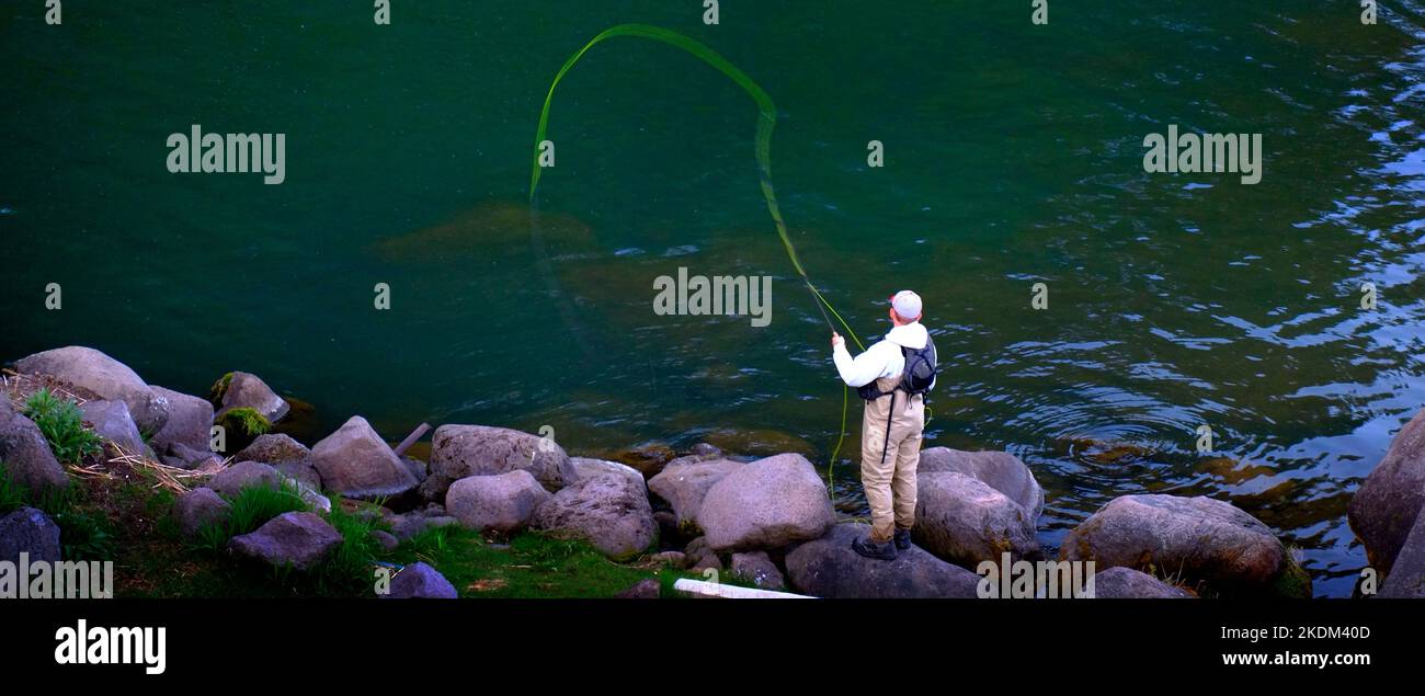 Persona pesca in ruscello o fiume in natura per lo sport Foto Stock