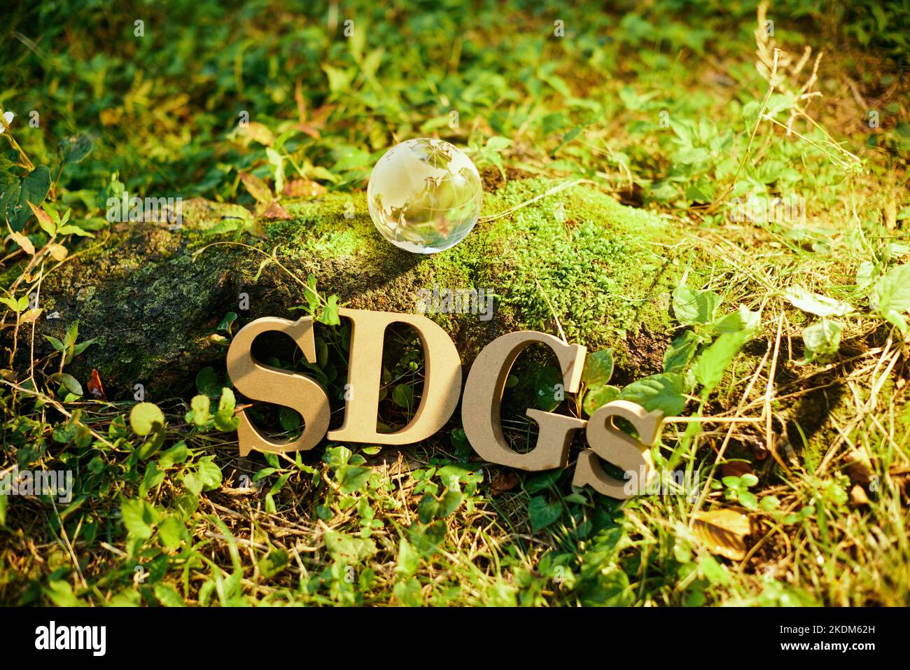 Immagine SDGs Foto Stock