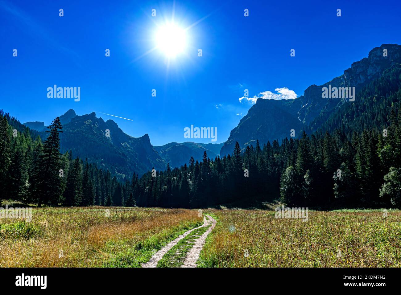 Tatry, dolina Malej Laki, fot.Wojciech Fondalinski Foto Stock