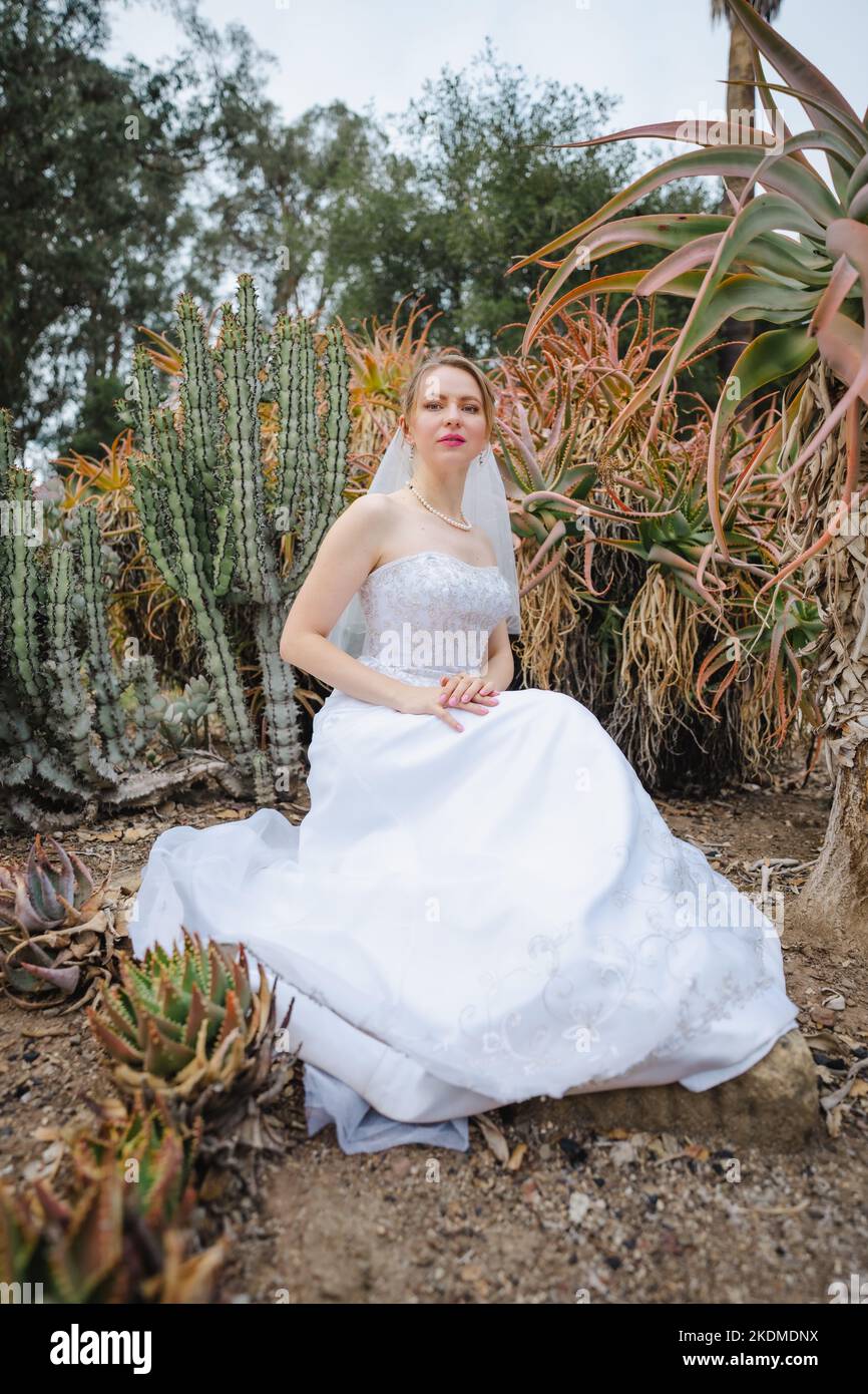 Sposa in White Wedding Gown seduto circondato da Cactus Garden Foto Stock