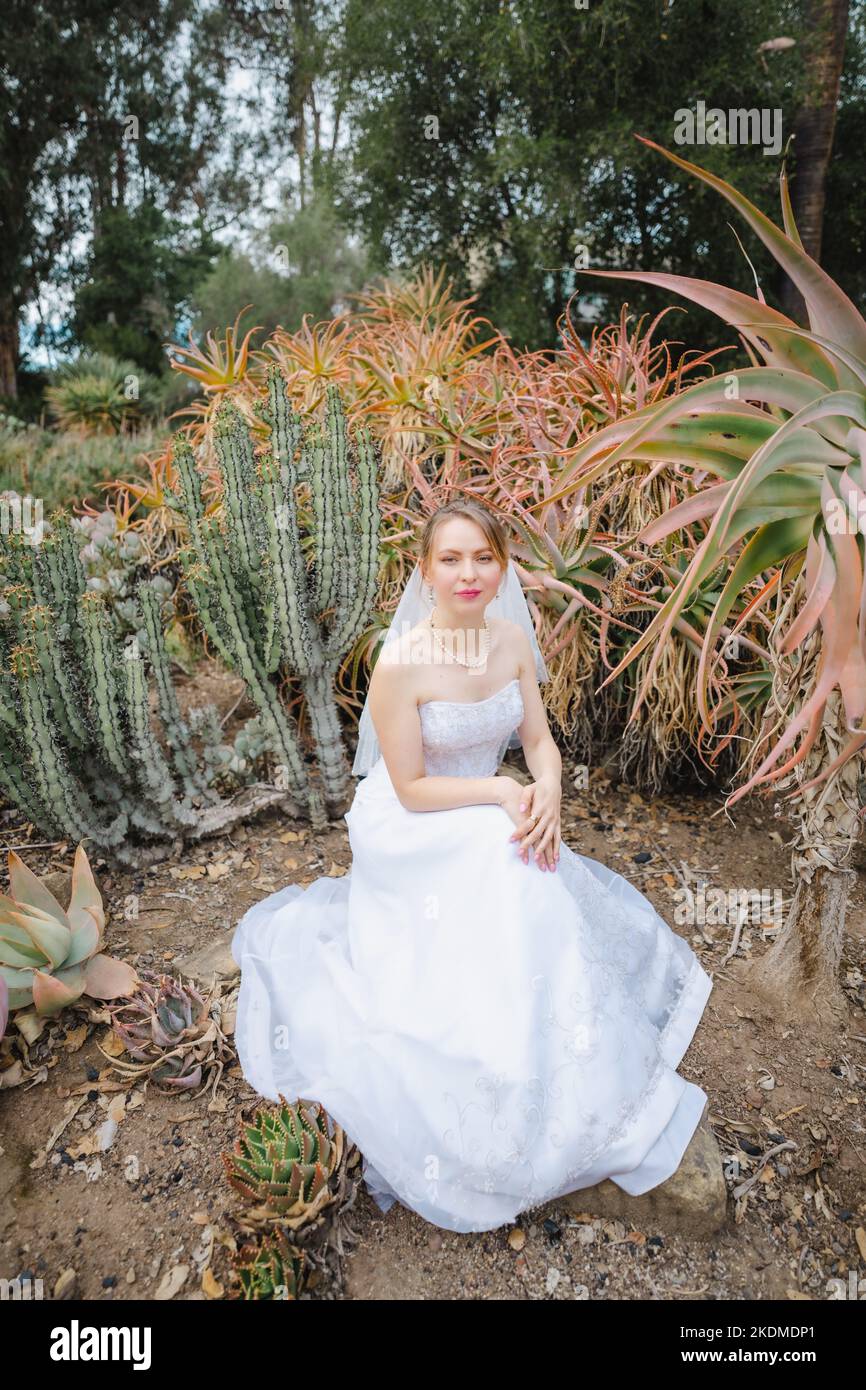 Sposa in White Wedding Gown seduto circondato da Cactus Garden Foto Stock
