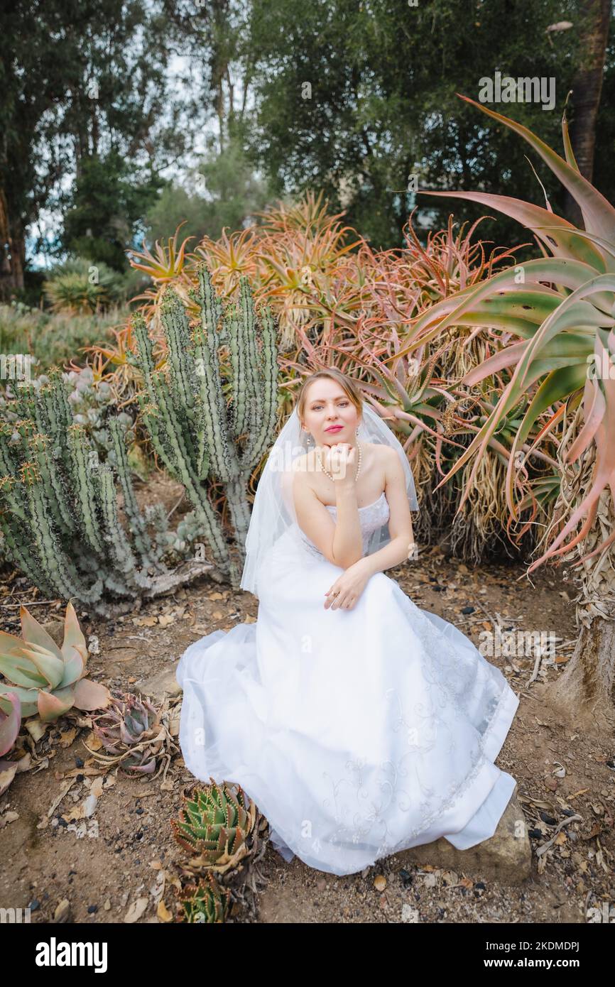 Sposa in White Wedding Gown seduto circondato da Cactus Garden Foto Stock