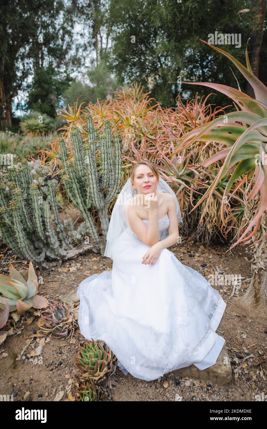 Sposa in White Wedding Gown seduto circondato da Cactus Garden Foto Stock