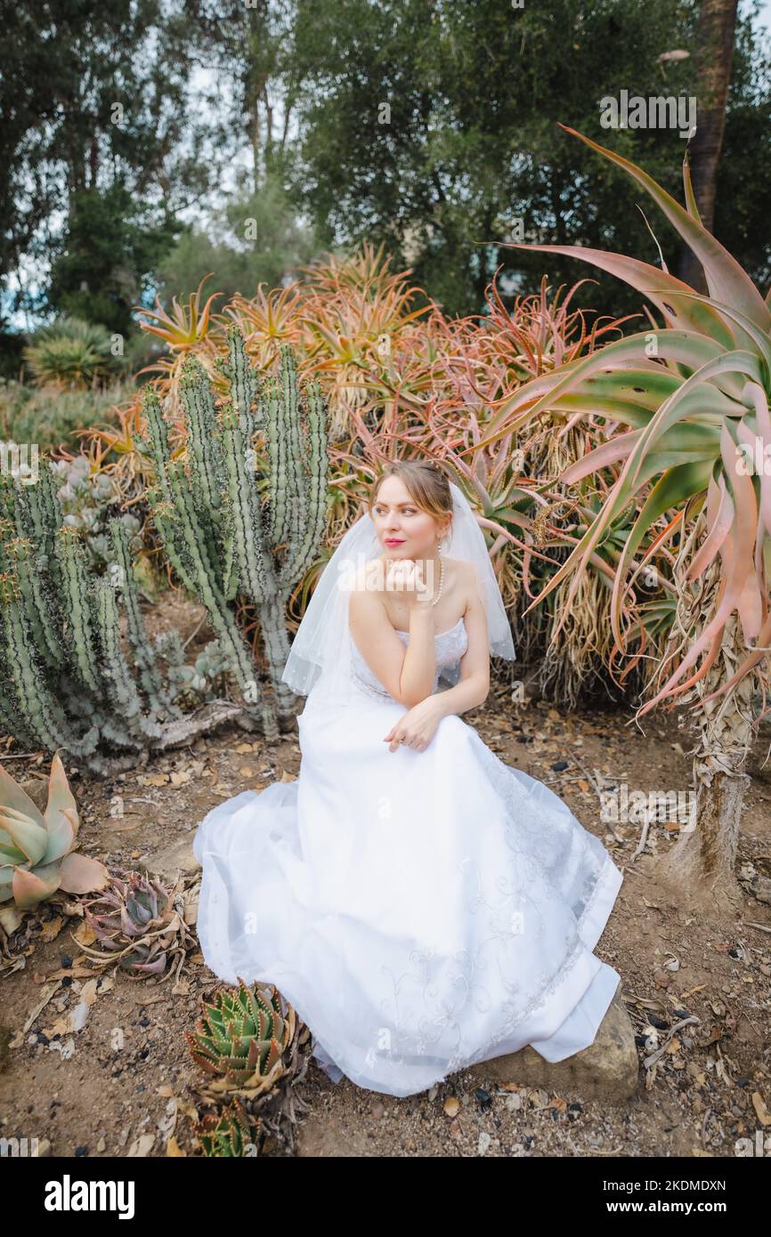 Sposa in White Wedding Gown seduto circondato da Cactus Garden Foto Stock
