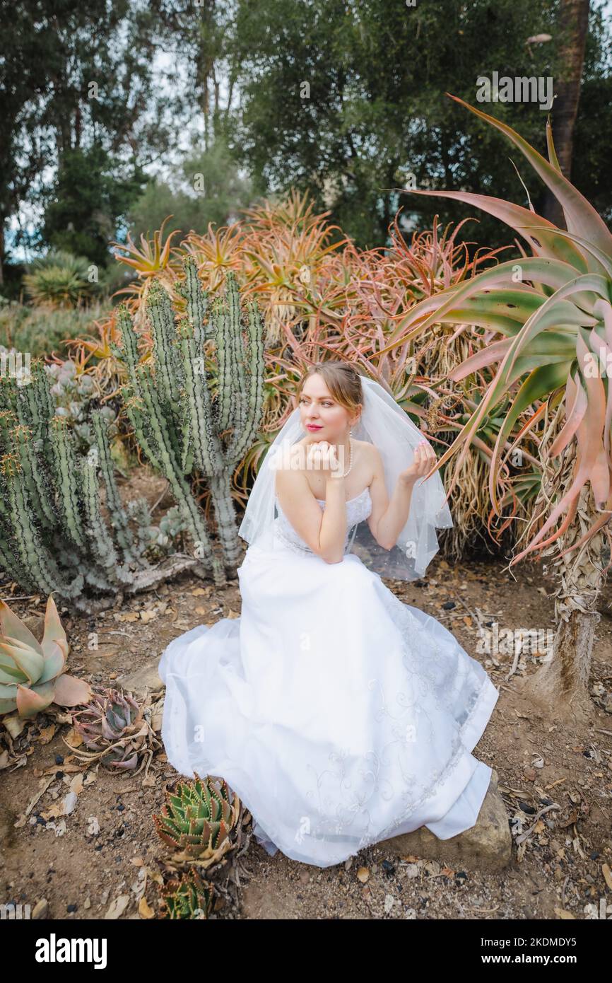 Sposa in White Wedding Gown seduto circondato da Cactus Garden Foto Stock