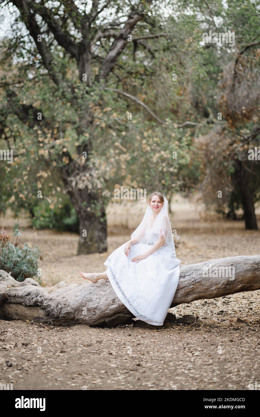 Sposa seduto su un grande albero caduto in Grove of California Oak Trees Foto Stock