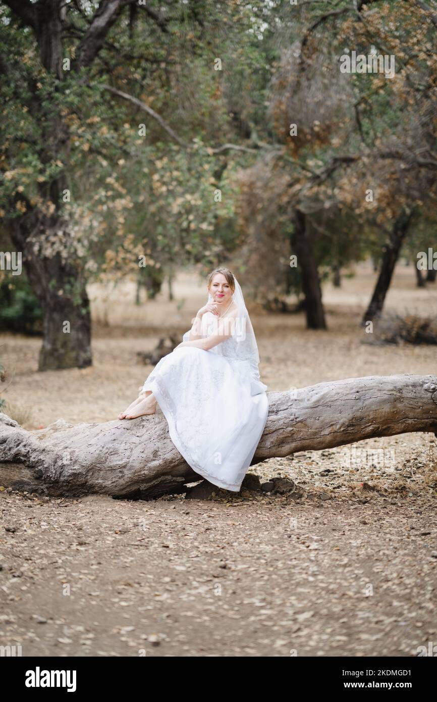 Sposa seduto su un grande albero caduto in Grove of California Oak Trees Foto Stock