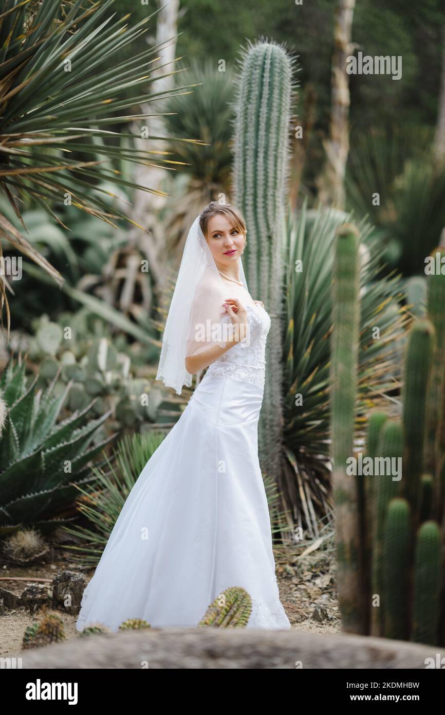 Sposa Passeggiate attraverso il Giardino di Cactus Foto Stock