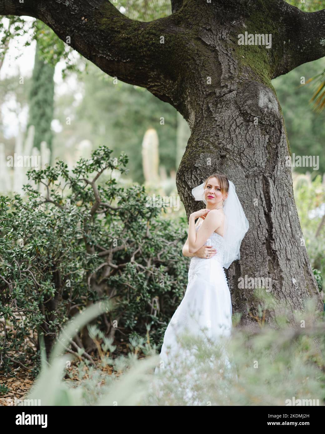 Sposa che si appoggia contro l'albero di quercia in un giardino di Cactus Foto Stock