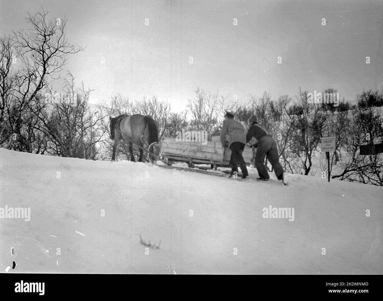Trasporto a cavallo a Björkliden. Foto Stock