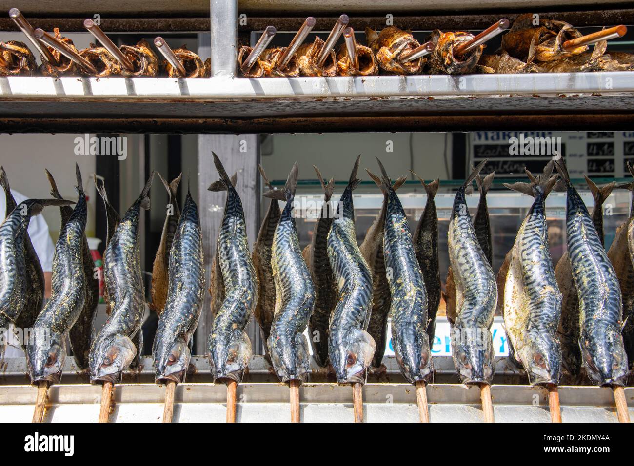 Preparazione di sgombri affumicati freschi in un ristorante di pesce da servire Foto Stock
