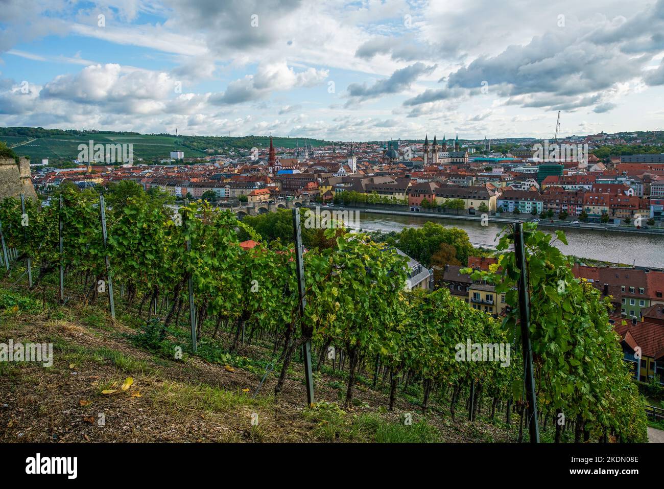 Splendida vista aerea sulla città di Wurxburg con vigneti intorno alla città e la cattedrale e la chiesa di Stift Haug - giorno di sole e nuvole e il fiume meno e vecchio Foto Stock