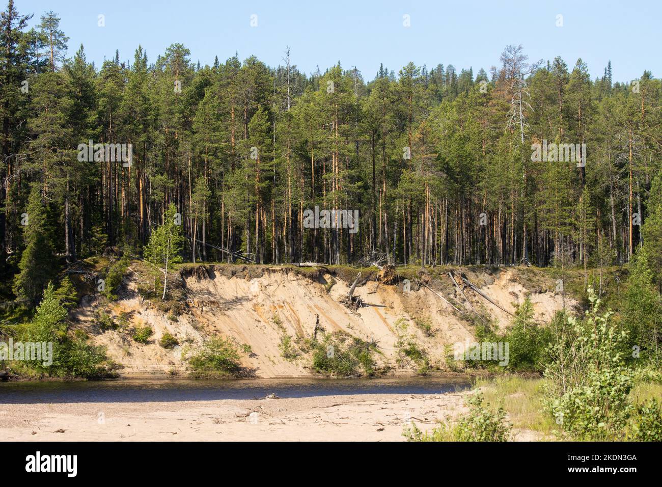 Una ripida riva sabbiosa del fiume in una soleggiata giornata estiva nel Parco Nazionale di Oulanka, nel nord della Finlandia Foto Stock