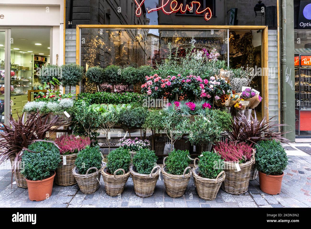 Una mostra di piante e fiori in mostra fuori Marinette Fleurs, negozio fioristi a Arles, Francia Foto Stock