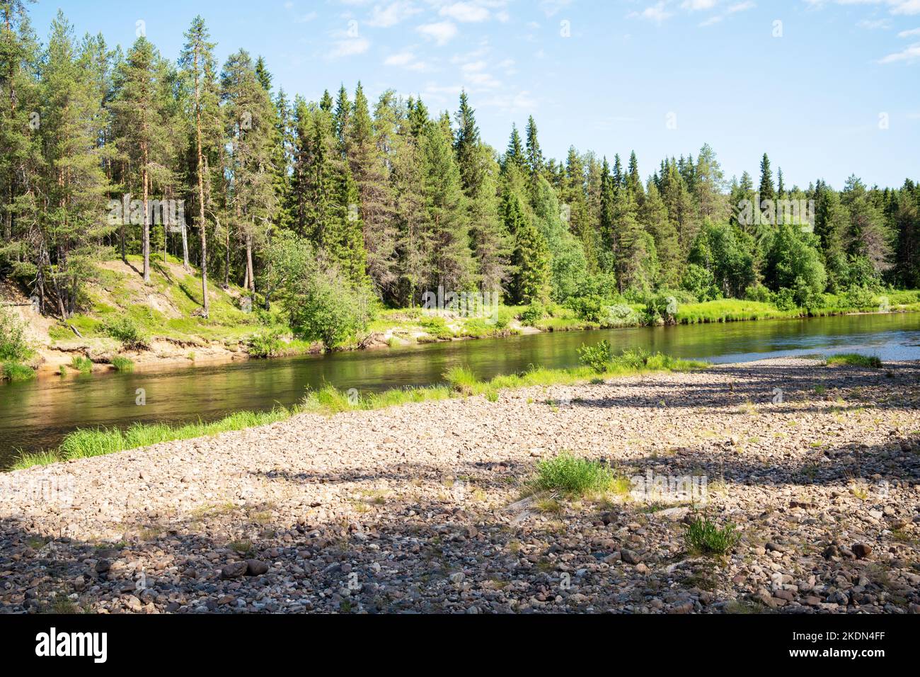 Splendida riva sabbiosa del fiume in una giornata estiva di sole nel Parco Nazionale di Oulanka, Finlandia settentrionale Foto Stock