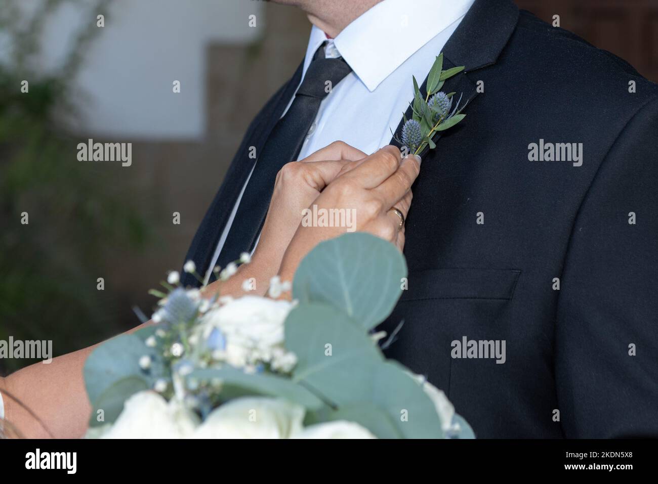 Lo sposo che riceve assistane dall'aiuto delle mani per fissare il suo boutonniere al reverlo della sua giacca di vestito. Foto Stock