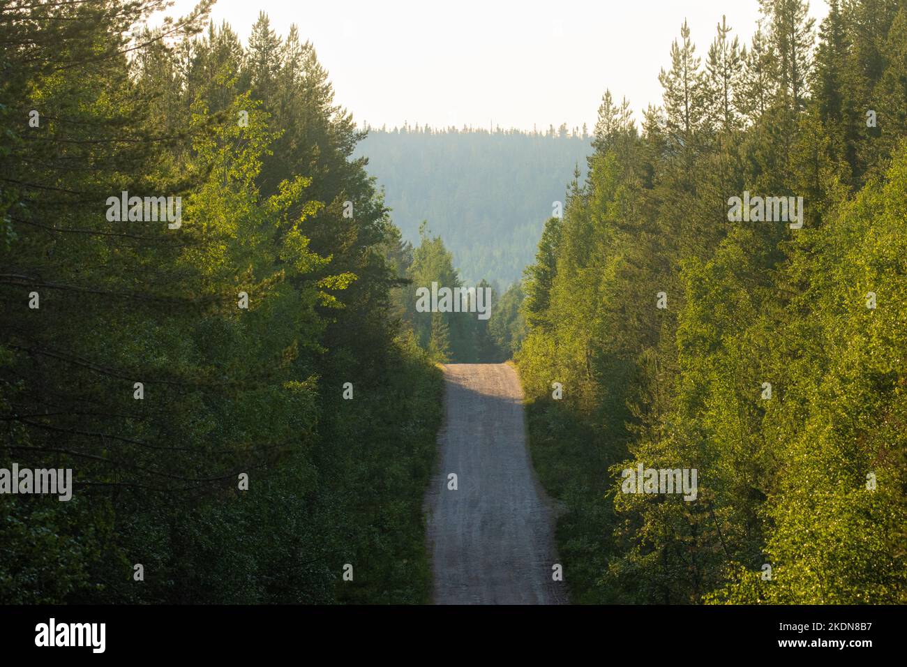 Una piccola strada sterrata che conduce su una collina nella Finlandia settentrionale estiva Foto Stock