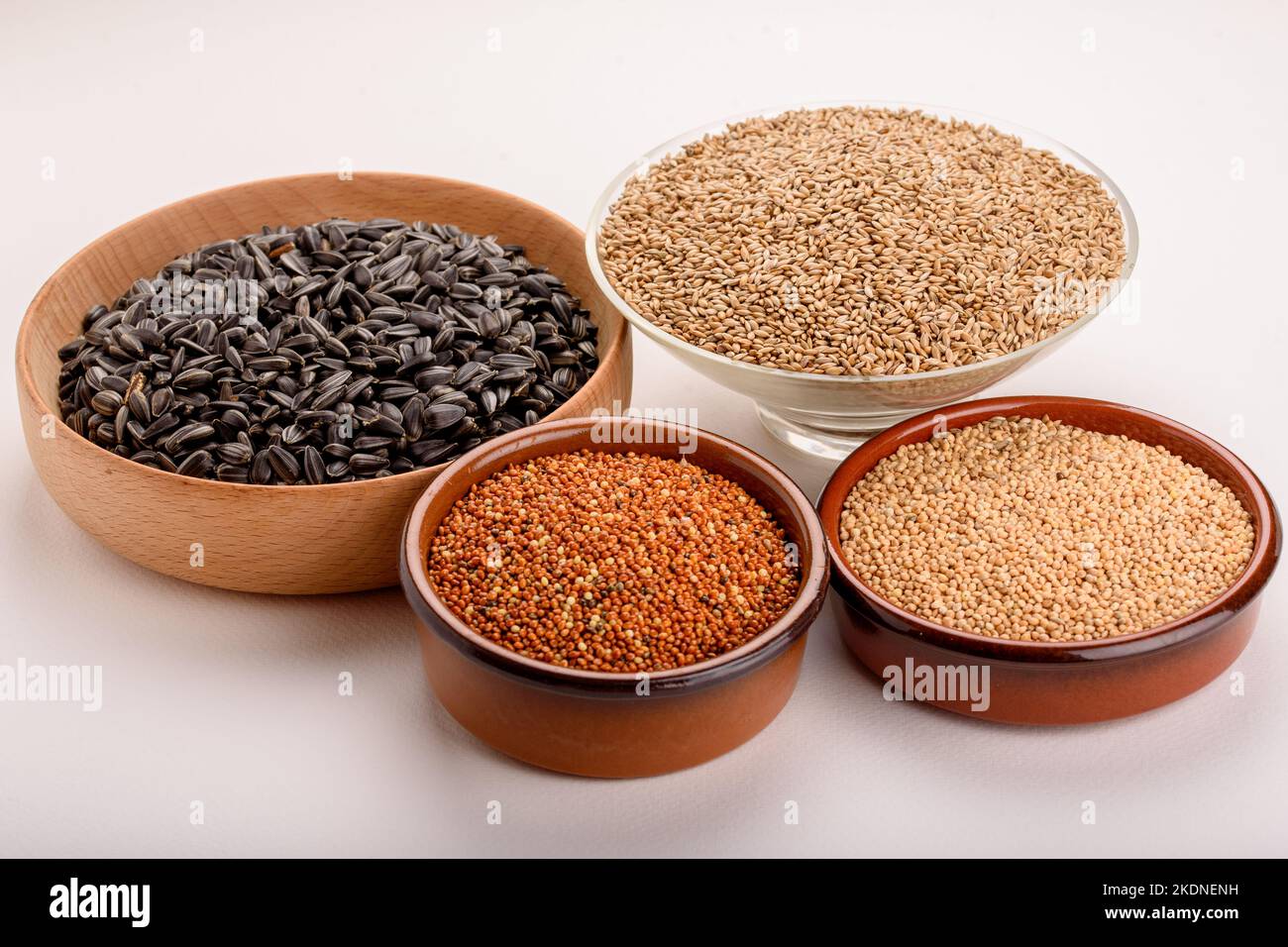 Grano essiccato uccello cibo. Grano di miglio rosso, grano di miglio giallo, semi di girasole neri e semi di erba canina in pentole. Foto Stock