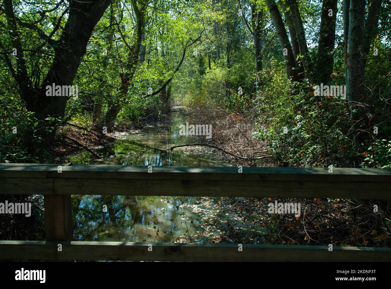 Parco Regionale dell'Isola DEAS a Delta, British Columbia, Canada Foto Stock