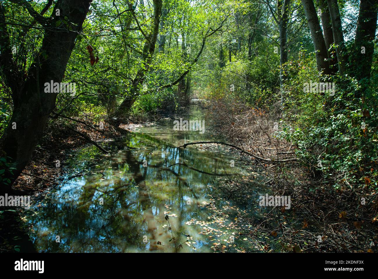 Parco Regionale dell'Isola DEAS a Delta, British Columbia, Canada Foto Stock