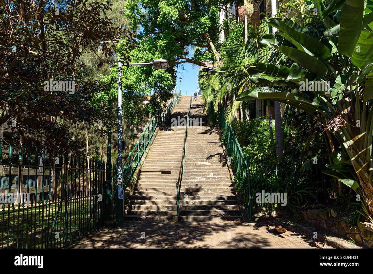 Le scale McElhone che collegano Potts Point con Woolloomooloo a Sydney, Australia Foto Stock