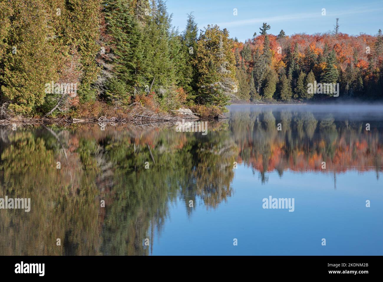 Colori autunnali al lago Algonquin Park Source Foto Stock