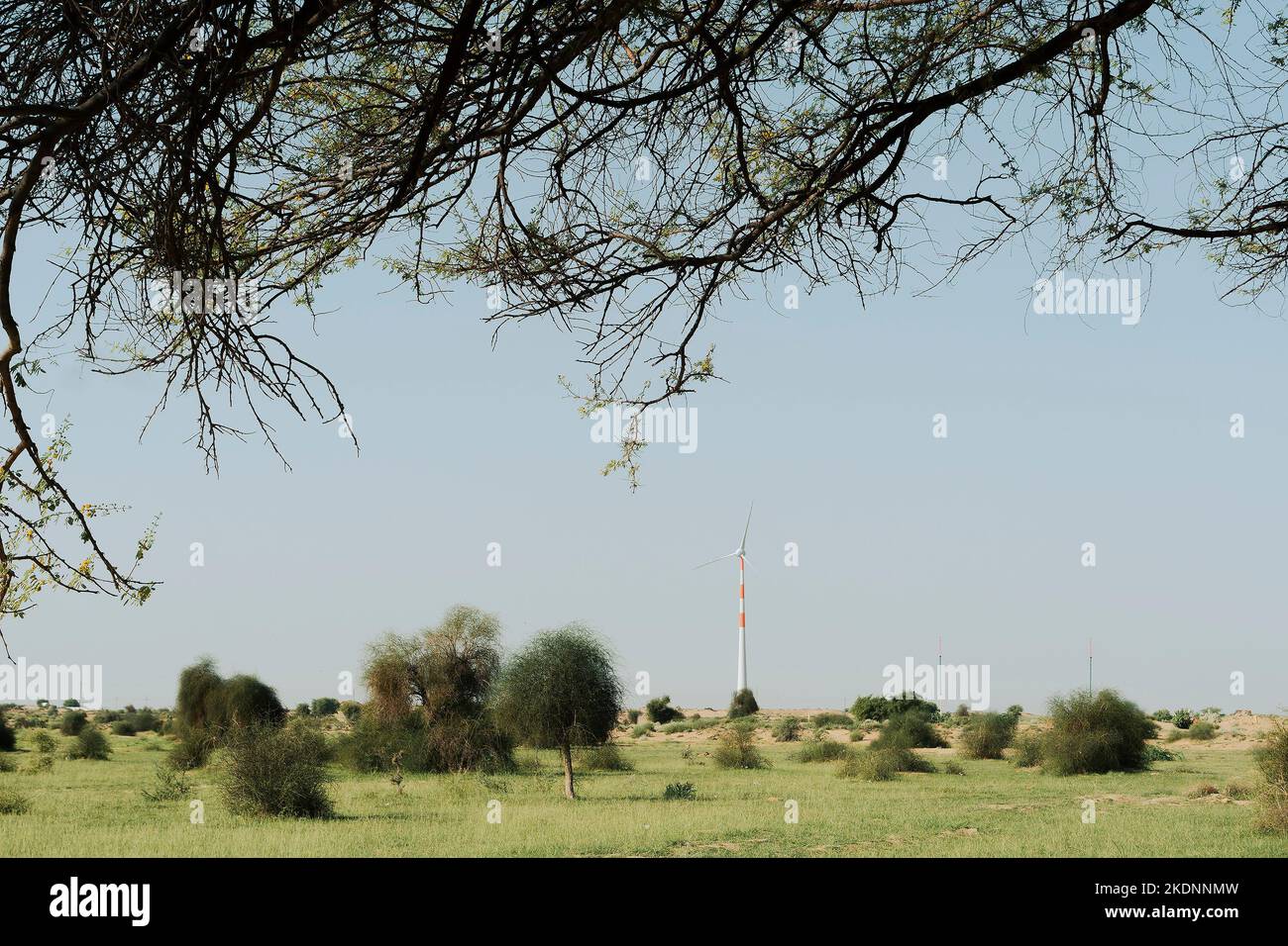 Turbine eoliche, alternativa eco-friendly fonte di energia elettrica, installato a Thar deserto, Rajasthan, India. Foto Stock