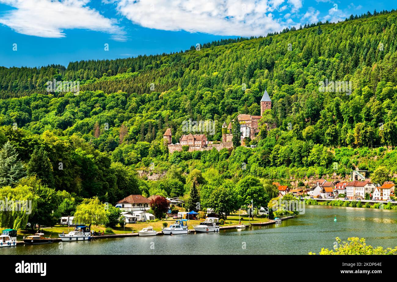 Castello di Zwingenberg sopra il fiume Neckar a Odenwald - Baden-Wurttemberg, Germania Foto Stock