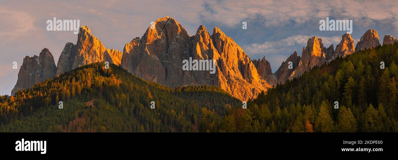 Un'ampia immagine panoramica da un tramonto autunnale di fronte alle vette delle Dolomiti di Geisler o Odle in Val di Funes, Alto Adige, Italia. Foto Stock