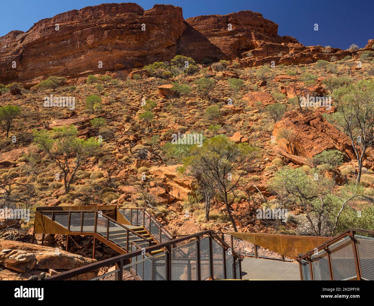 Osservazione sul Kings Creek Walk, il Kings Canyon, il Parco Nazionale di Watarrka, il Northern Territory, l'Australia Foto Stock