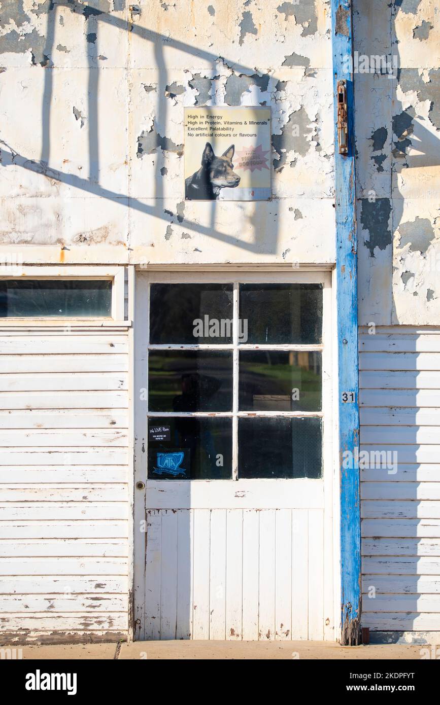 Le ombre cadono attraverso una parete dipinta di bianco che si stacca di un vecchio magazzino a Murrurundi, nuovo Galles del Sud, Australia Foto Stock