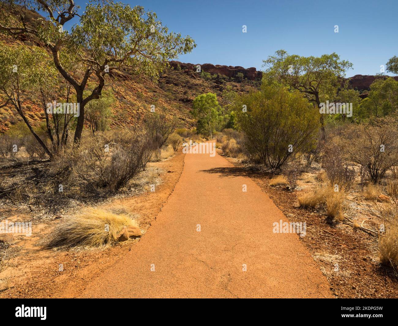Creek Walk, Kings Canyon, Watarrka National Park, Northern Territory, Australia Foto Stock