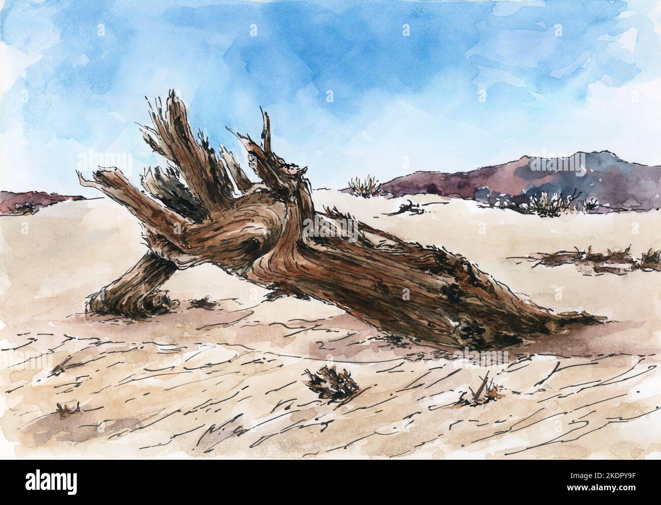 Deserto con tronco di albero morto. Inchiostro e acquerello sulla carta. Foto Stock