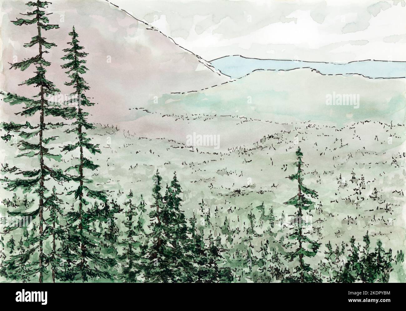Foresta in montagna. Inchiostro e acquerello sulla carta. Foto Stock