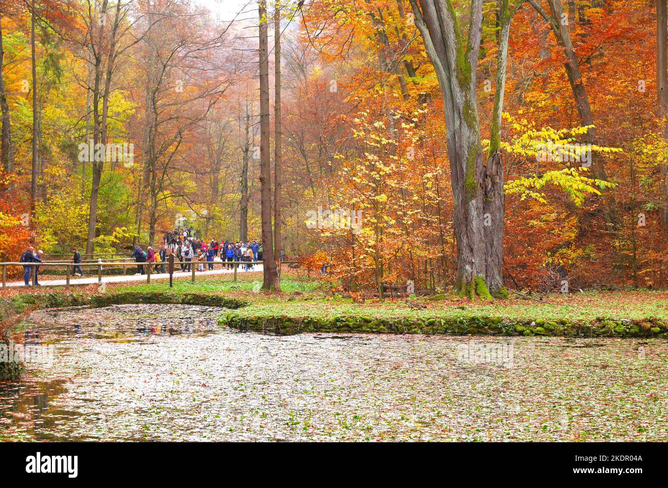 Persone che camminano nei boschi in un giorno d'autunno, Valle Szalajka, Parco Nazionale di Bukk, colline di Bukk, Ungheria Foto Stock