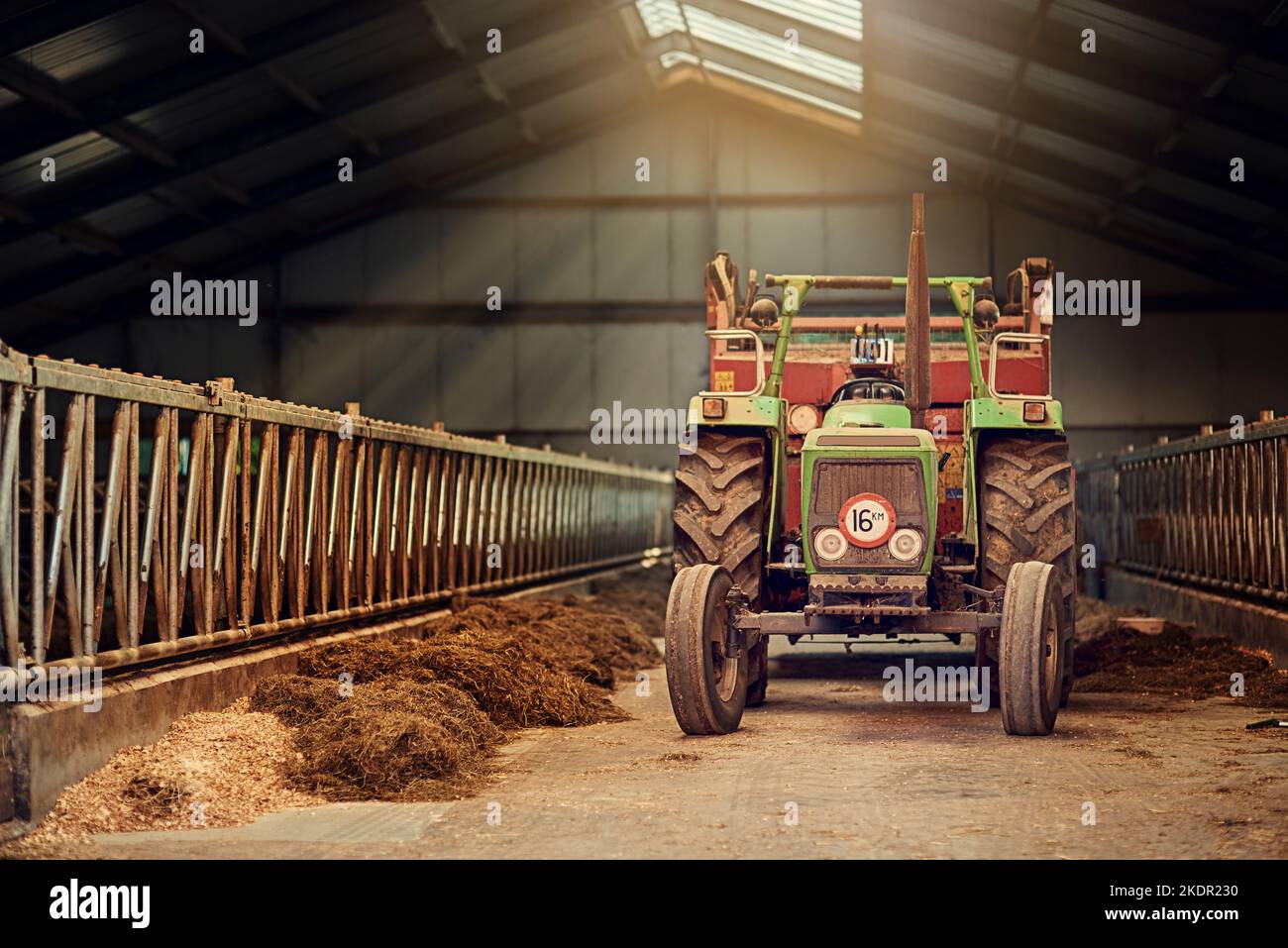 Il vero cavallo da lavoro di questa fattoria. Un vecchio trattore arrugginito in piedi in un fienile vuoto. Foto Stock