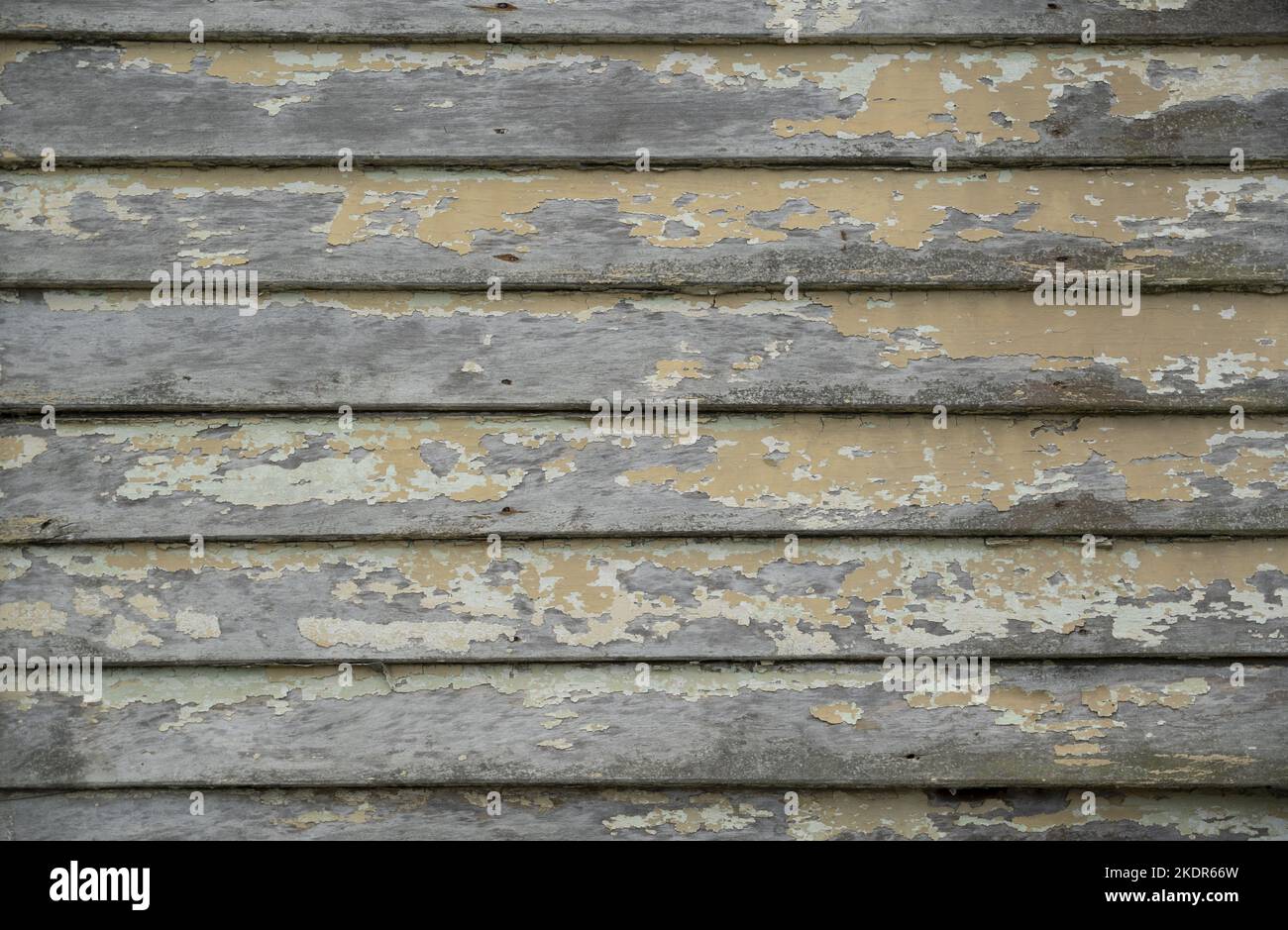 Vecchio rivestimento orizzontale in legno verniciato con agenti atmosferici, legno verniciato con agenti atmosferici, tavole meteo eleganti, pannelli rustici in legno verniciato con agenti atmosferici, sfondo Foto Stock