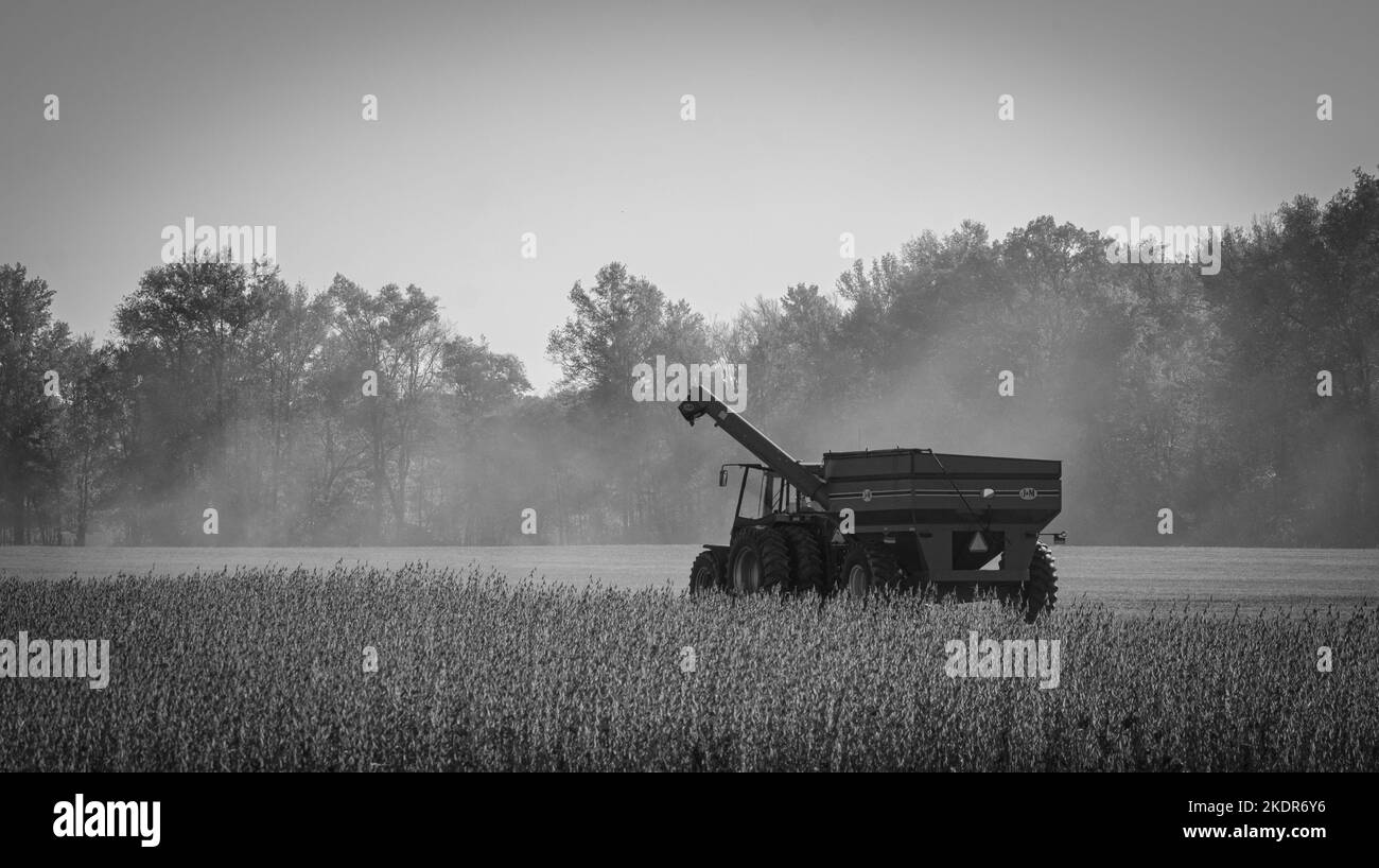 La vita agricola in autunno Foto Stock La vita agricola in autunno Foto Stock