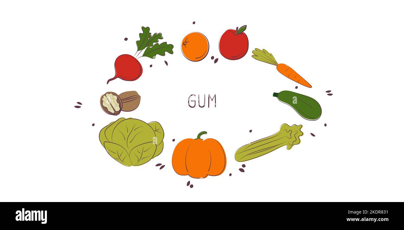 Cibo contenente gomma. Gruppi di prodotti sani contenenti vitamine e minerali. Set di frutta, verdura, carne, pesce e latticini Illustrazione Vettoriale