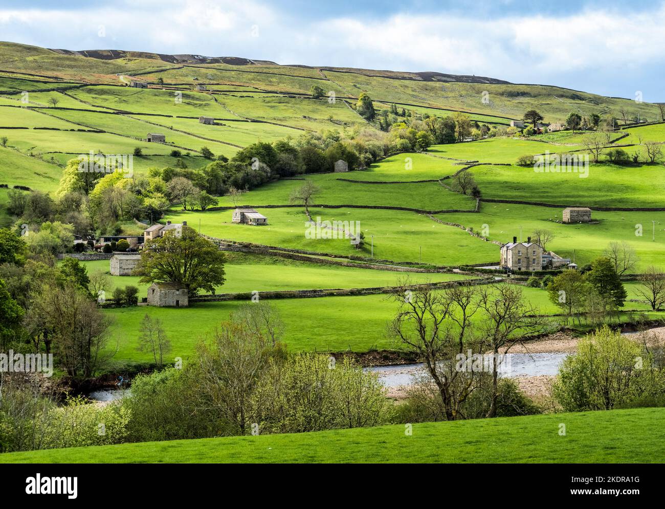 Tipico paese agricolo di Yorkshire Dales a Swaledale, con muri a secco e fienili in pietra, visto in primavera. Foto Stock
