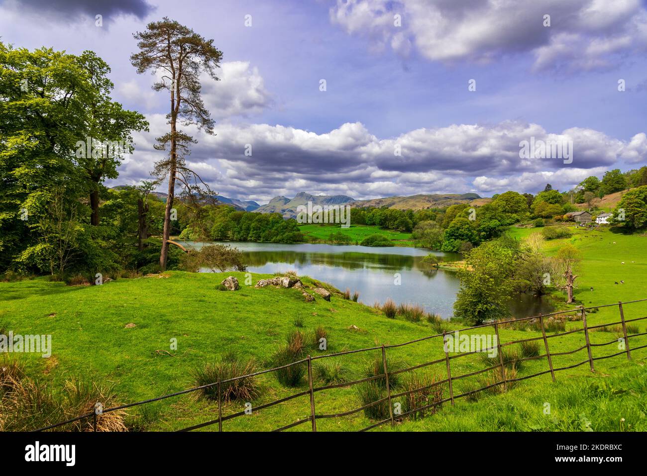 Loughrigg Tarn con i Pikes Langdale sullo sfondo. Il Distretto del Lago Cumbria. Inghilterra. Foto Stock