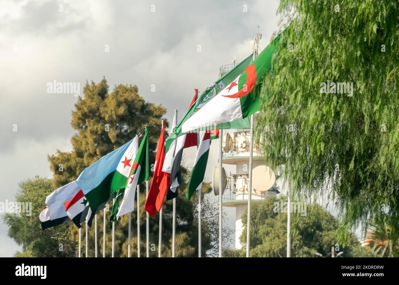 Bandiere dell'Algeria, della Lega Araba e dei paesi arabi bandiere che sventolano nel vento fuori della città di Algeri con palchi sotto un cielo nuvoloso blu e alberi. Foto Stock
