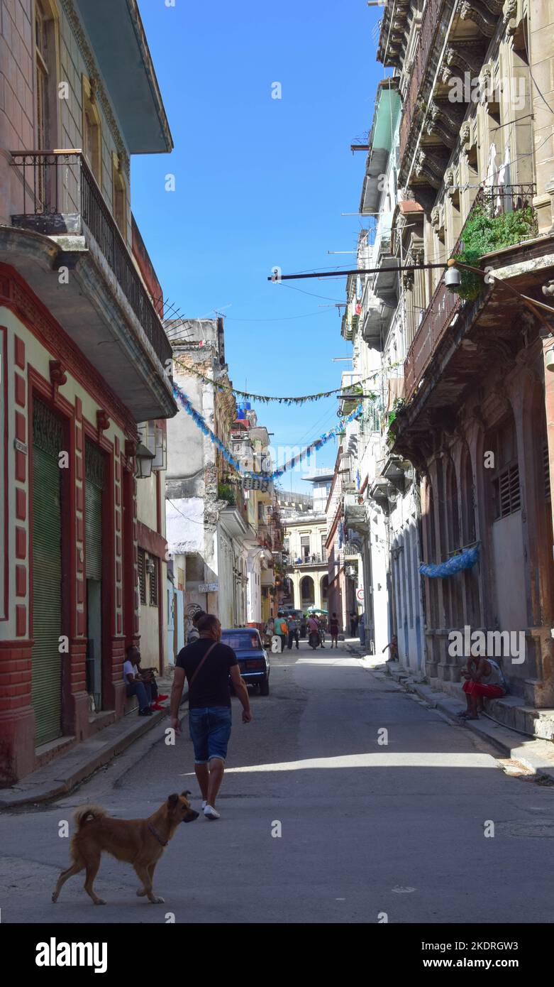 Vita nelle strade di Cuba, la strada dell'Avana Foto Stock