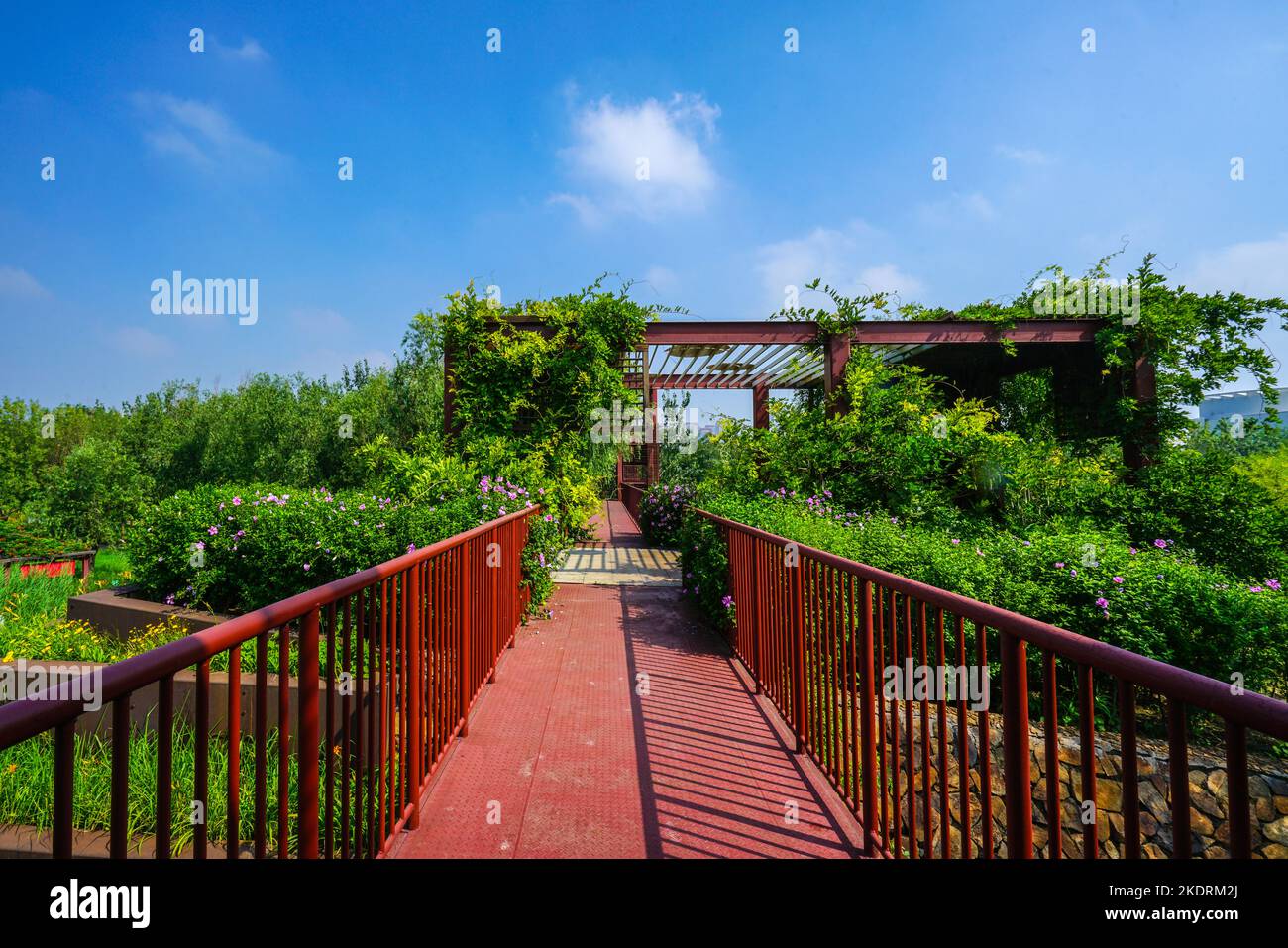 Premio World's Best View - Bridge Park Foto Stock