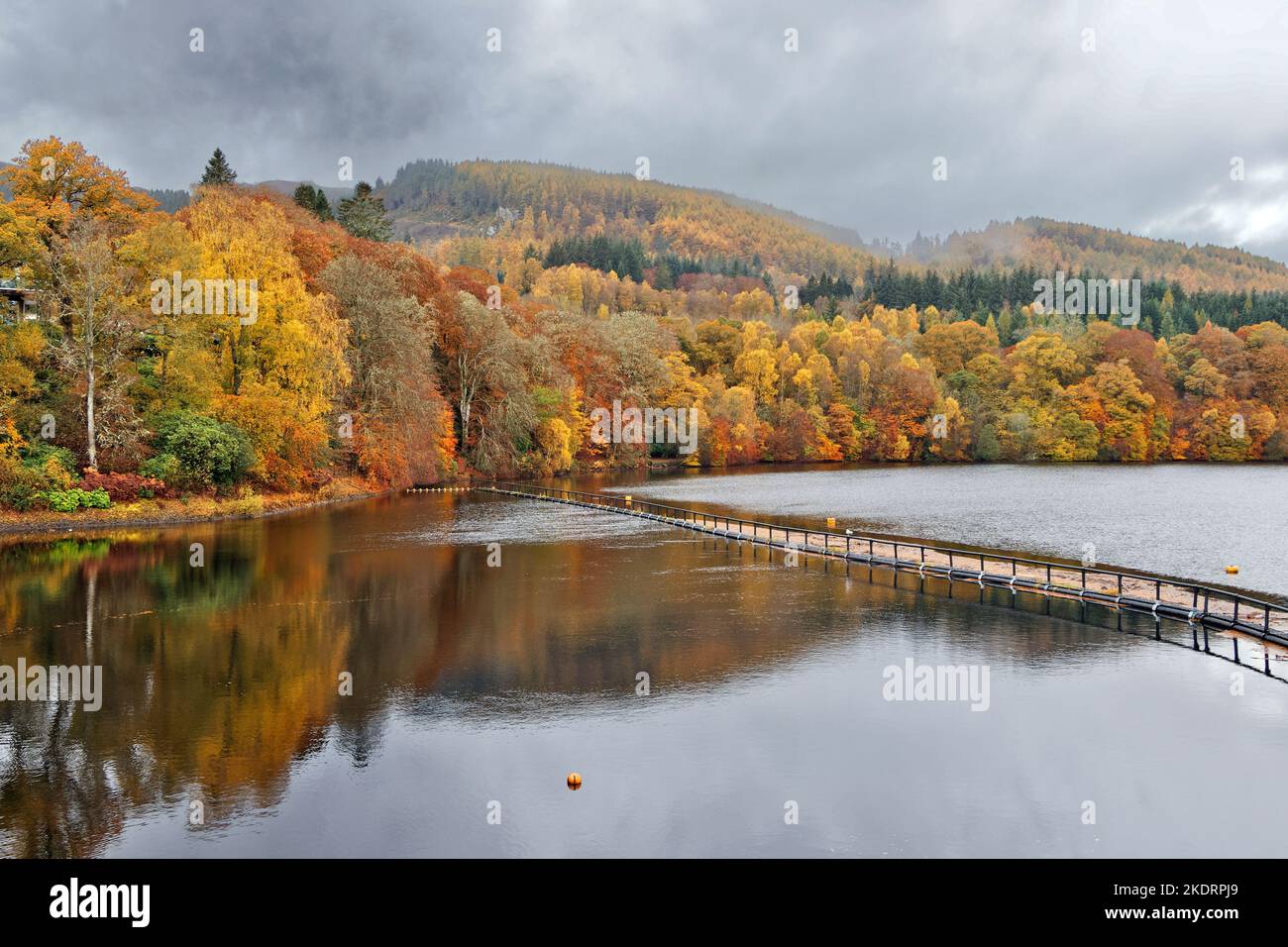 Pitlochry Perthshire Scozia Loch Faskally alberi in autunno e riflessi in acqua Foto Stock