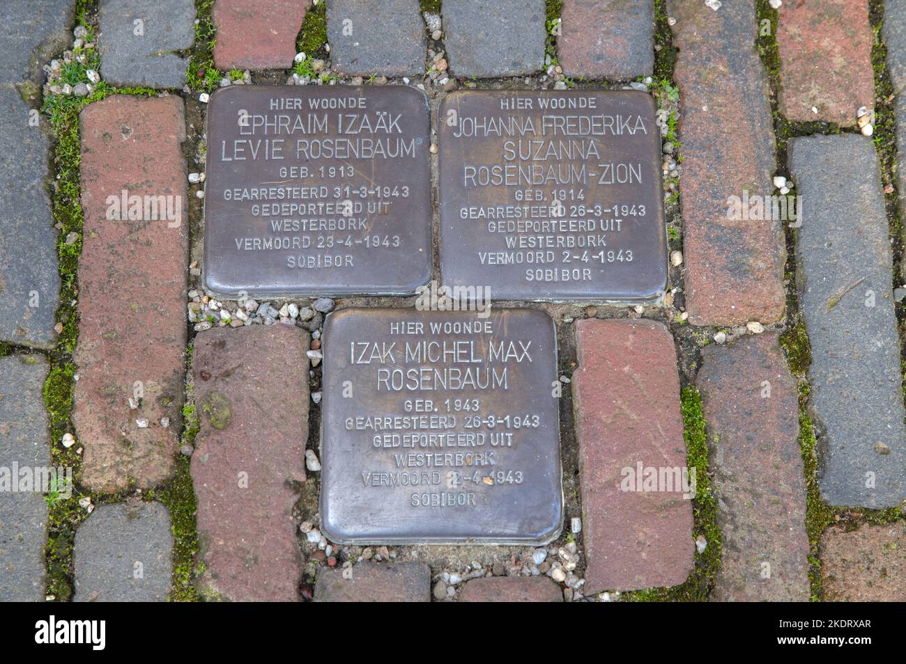 Stolperstein Memorial Stone dalla famiglia Rosenbaum ad Amsterdam Paesi Bassi 2-11-2022 Foto Stock
