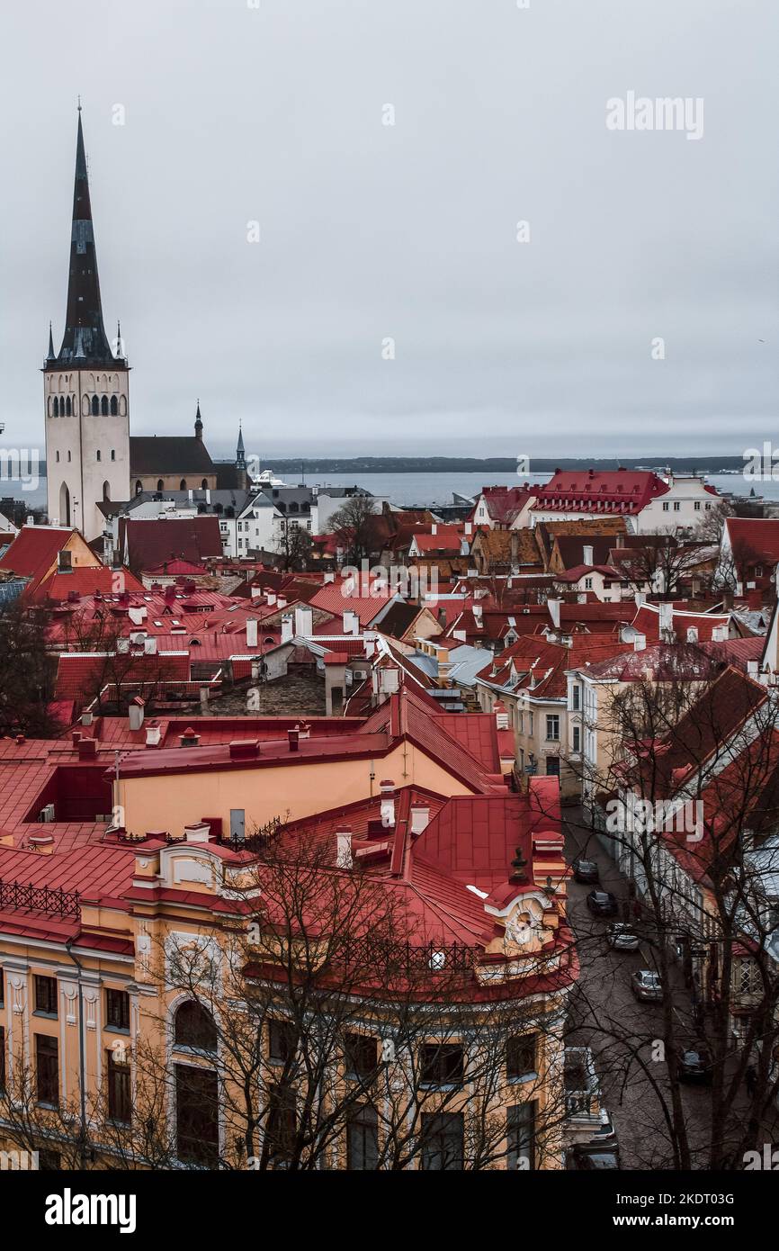 Vista panoramica della città vecchia di Tallinns, la chiesa di St OLAF si può ammirare una guglia enorme che torreggia sulla città vecchia. Estonia Foto Stock