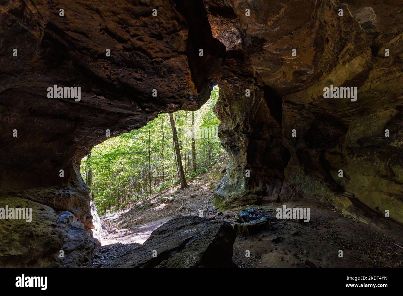 Escursioni nell'Alum Cove Trail in Arkansas Foto Stock