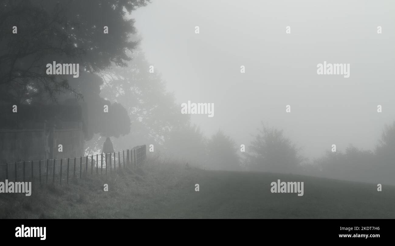 Persona che cammina il loro cane lungo Un sentiero con ringhiere in ghisa lungo Bathampton Meadows, Bath UK, in Una mattinata di Misty Foggy in autunno Foto Stock