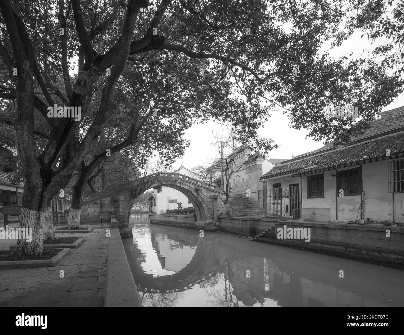 Shanghai Fengjing antica città Foto Stock